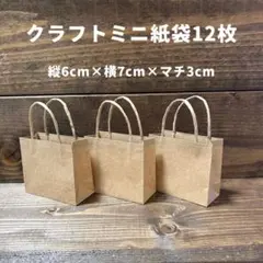 クラフトミニ紙袋12枚セット