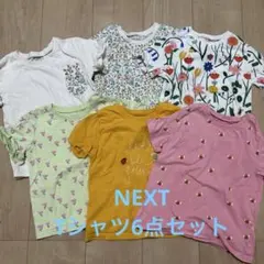 Item thumbnail for item ff8f4941-857b-42cf-bf0f-4edf2ebabaf7