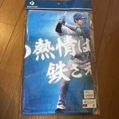 日ハム　松本剛　応援歌タオル