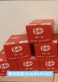 みねみね様専用