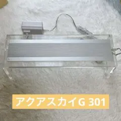 2026年最新】ada アクアスカイgの人気アイテム - メルカリ