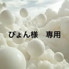 ぴょん様　専用　No.128