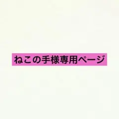 専用ページ