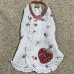 Item thumbnail for item 648f1b5e-bce2-496b-9900-6b9dbc564c1b