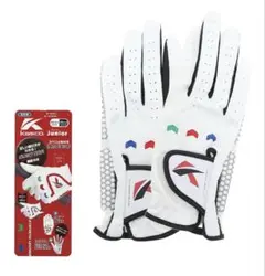 Item thumbnail for item 79bab21b-8dd2-4a5d-b922-10cbf8cdf6a2