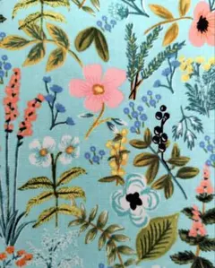 Item thumbnail for item df8610a4-e590-452e-933e-30c1024ac631