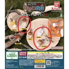 おさわり探偵 なめこ栽培キット めじるしアクセサリー2 4点セット