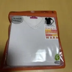 Item thumbnail for item 15b95672-7101-4787-affa-fceb0c4c4e84