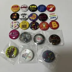 ファンキーモンキーベイビーズ ファンキー加藤 缶バッジ22個セット