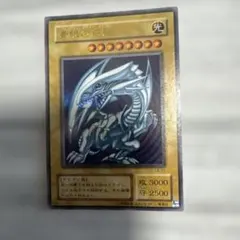 遊戯王 R・E・Bドラゴン モンスターカプセル ブリード&バトル特典 6q