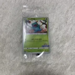 ポケモンカード　フシギダネ　プロモ　イラストレーションコンテスト　2022