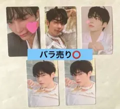 ZB1 ハンビンBLUE PARADISE POPUP ラントレ　5枚セット