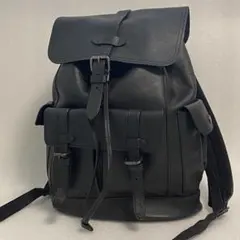 美品 希少】COACH ハドソン シボ革 オールレザー 入手困難 リュック