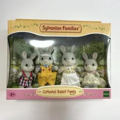 レア訳あり海外版シルバニアファミリー Grey Cat Family - メルカリ