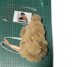GENERATIONS 白濱亜嵐 メンプロ 空飛ぶレックス パスケース フォト付