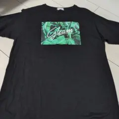 BROWNY Gleam ブラックTシャツのサムネイル