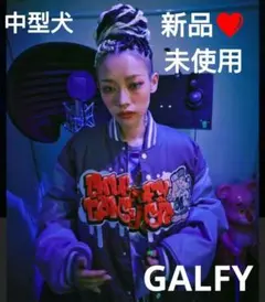 新品未使用❤タグ付 中型犬 落書き スタジャン パープル 紫 ワッペン Lサイズ