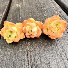 yuuuki様 リクエスト 9点 まとめ商品