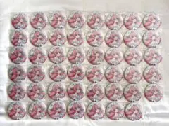 プリキュア展 缶バッジ キュアプリズム 47個 2026年最新】プリキュア展 缶バッジ プリズムの人気アイテム - メルカリ