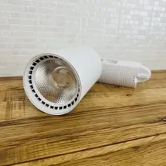 Item thumbnail for item 1fd6359e-7090-46e7-bc91-49faa17f3bdb