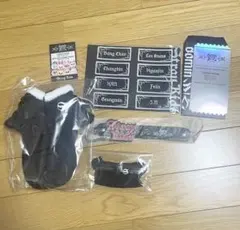 Stray Kids World Tour dominATE アップグレード特典