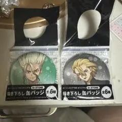 Dr.STONE 缶バッジ 2種セット　 千空　スタンリー