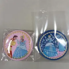 ディズニー刺繍缶バッチ　シンデレラ　２個セット