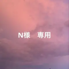 N様　専用