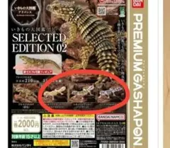 いきもの大図鑑　アドバンス アルマジロトカゲ レオパードゲッコー 　三種のサムネイル