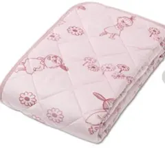 Item thumbnail for item e3496dfd-4ede-4b66-9ba5-3bf37070ca44