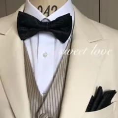 蝶ネクタイ　ポケットチーフ2点セット/フォーマル/ブラックペイズリー Q