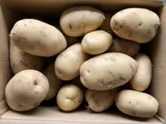 【鹿児島産】甘塩新ジャガイモ箱込み5キロ^_^のサムネイル