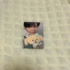 nctwish ジェヒトレカ