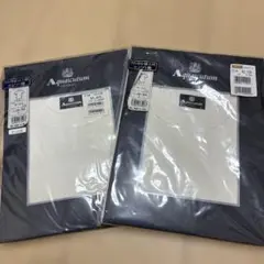 Aquascutum 丸首半袖Tシャツ Lサイズ 2枚セット
