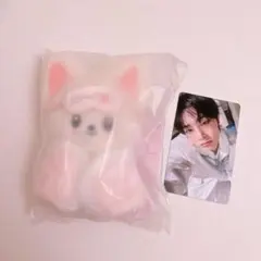 2026年最新】STRAYkids skzoo plush 10cmの人気アイテム - メルカリ