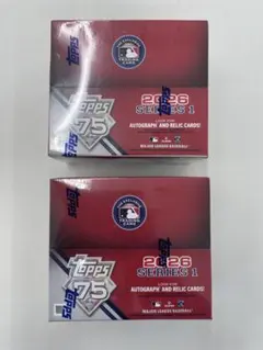 CHILLNESS様 リクエスト 2点 まとめ商品