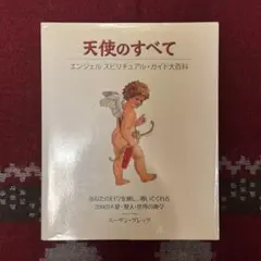 天使の願い ある少女の心からのメッセージ - メルカリ