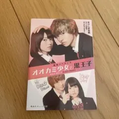 Item thumbnail for item 816a7820-7528-4bdd-9cfc-fbff9e7b98db