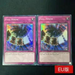 【EU版】フルハウス 英語 AP05 スーパー 2枚セット