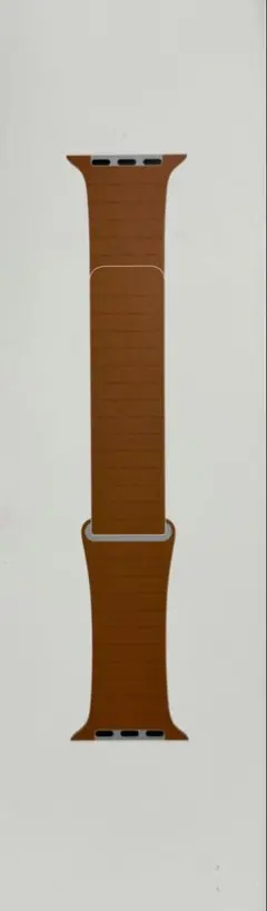 AppleWatch 44mm L SaddleBrownLeatherLoop