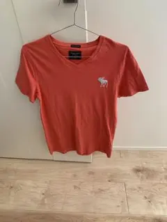 【美品】アバクロ　Tシャツのサムネイル