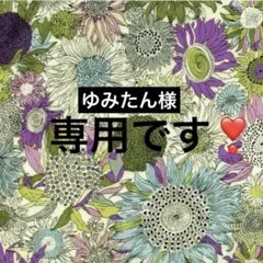 ゆみたん様専用です❣️