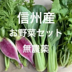信州産　野菜の詰め合わせセット❣️ 無農薬