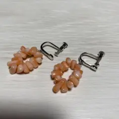 珊瑚　イヤリング