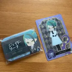 ツイステ◆ジェイド◆ ネーム缶バッジ＆メタカ3 実験着SD