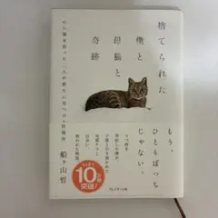 捨てられた僕と母猫と奇跡 : 心に傷を負った二人が新たに見つけた居場所
