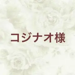 コジナオ様 リクエスト 2点 まとめ商品