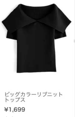 ビッグカラー リブニット 半袖 탑스