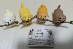 Item thumbnail for item b2e3b8f2-8975-4f5a-8246-3dc217800d94