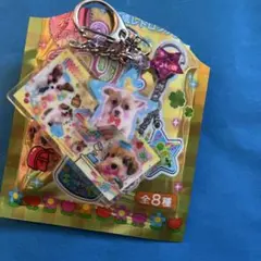 シークレット 2連アクリルキーホルダー お札メモ ワンコマート